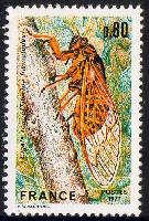 Scott:1555