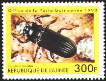 Michel:1896