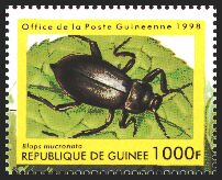 Michel:1900