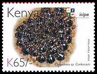 Scott:854b