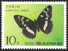 Insect Stamp of Democratic People's Republic of Korea