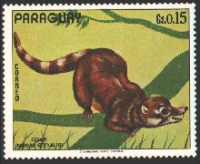 Scott:1481b