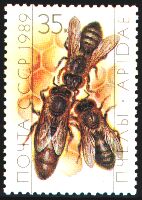 USSR stamp of Honeybee worker, drone, queen