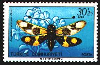 Scott:B186