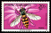 Scott:B185