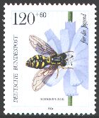 Scott:B619