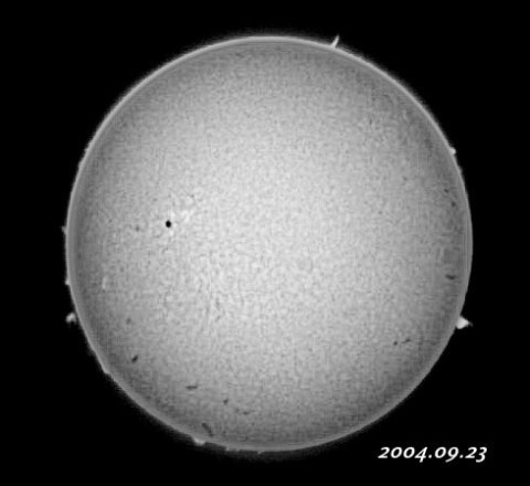 ��������ǯ������������� 2004/09/23-1