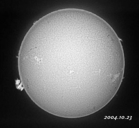 ��������ǯ��������������� 2004/10/23-4