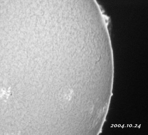 ��������ǯ���������������-p1 2004/10/24-4