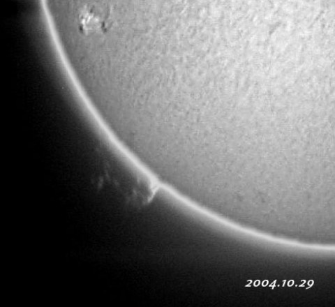 ��������ǯ���������������-p1 2004/10/29-2