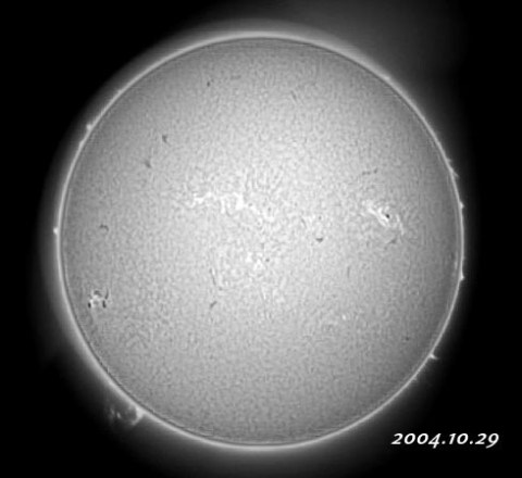 ��������ǯ��������������� 2004/10/29-3