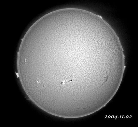 ��������ǯ������������� 2004/11/02-3