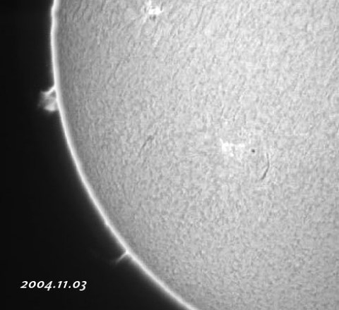 ��������ǯ�������������-p1 2004/11/03-3