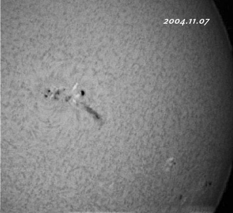 ��������ǯ�������������-���� 2004/11/07-2