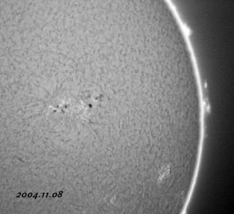 ��������ǯ�������������-���� 2004/11/08-2