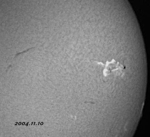 ��������ǯ���������������-���� 2004/11/10-3