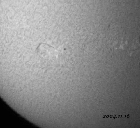 ��������ǯ���������������-���� 2004/11/16-2