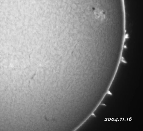 ��������ǯ���������������-p1 2004/11/16-3