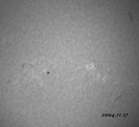 ��������ǯ���������������-���� 2004/11/17-2