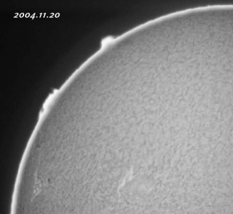 ��������ǯ���������������-p2 2004/11/20-4