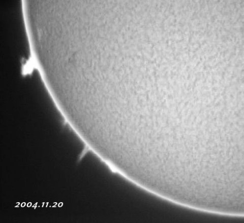 ��������ǯ���������������-p1 2004/11/20-5