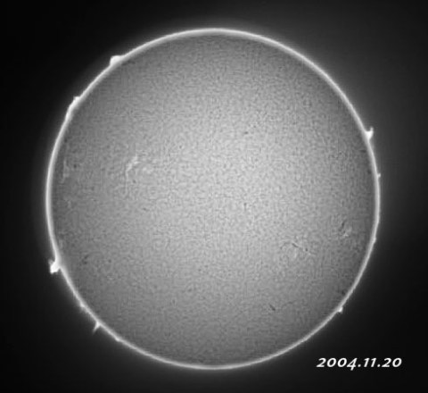 ��������ǯ��������������� 2004/11/20-6