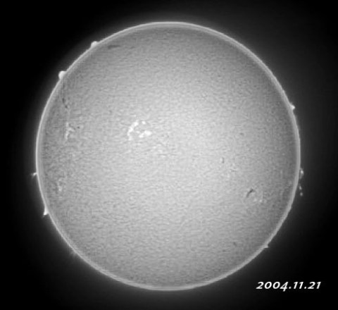 ��������ǯ��������������� 2004/11/21-5