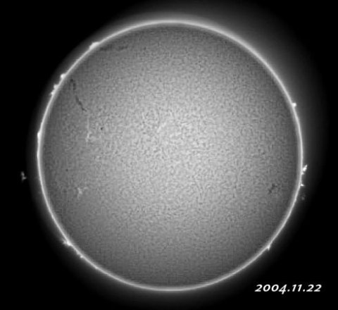 ��������ǯ��������������� 2004/11/22-4