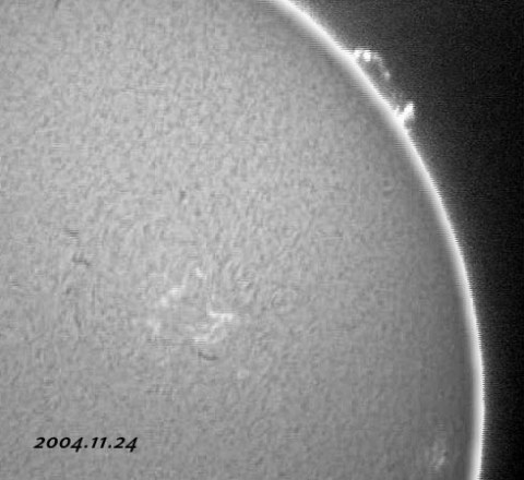 ��������ǯ���������������-p2 2004/11/24-3