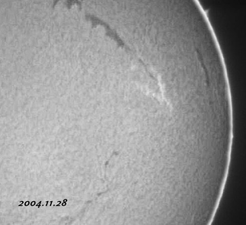 ��������ǯ���������������-d 2004/11/28-3