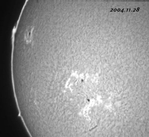 ��������ǯ���������������-p1 2004/11/28-4