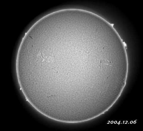 ��������ǯ������������� 2004/12/06-2