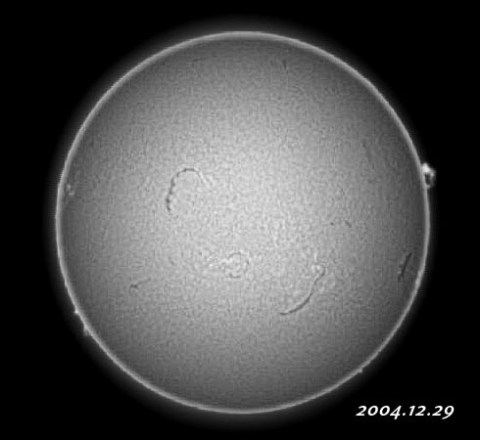 ��������ǯ��������������� 2004/12/29-2