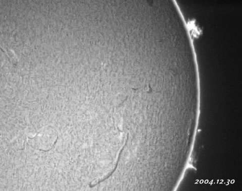 ��������ǯ���������������-p1 2004/12/30-2