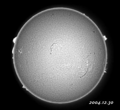 ��������ǯ��������������� 2004/12/30-4