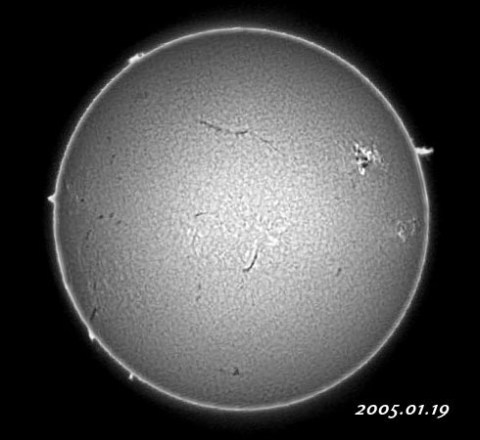 ��������ǯ������������� 2005/01/19-2