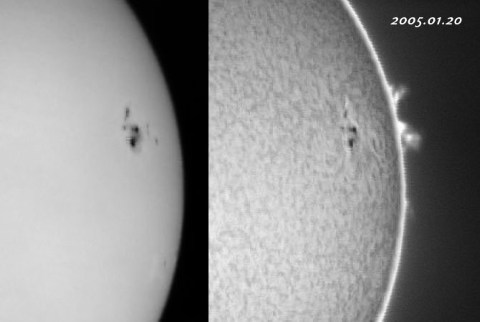 ��������ǯ�������������-���� 2005/01/20-2