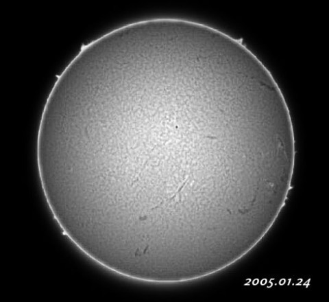 ��������ǯ������������� 2005/01/24-2