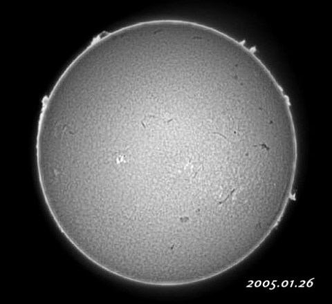 ��������ǯ������������� 2005/01/26-2