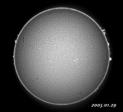 ��������ǯ������������� 2005/01/29-2