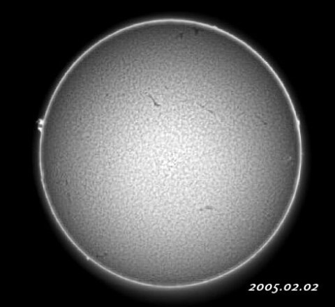 ��������ǯ����������� 2005/02/02-2