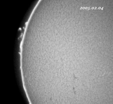 ��������ǯ�����������-p1 2005/02/04-2