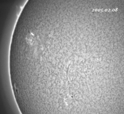 ��������ǯ�����������-���� 2005/02/08-2