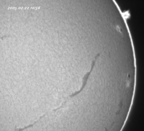 ��������ǯ�������������-���� 2005/02/22-2