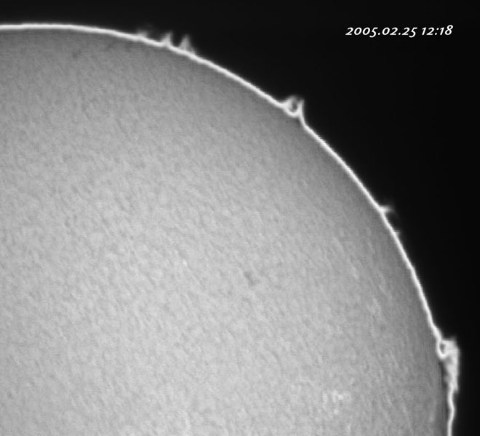 ��������ǯ������������� 2005/02/25-1