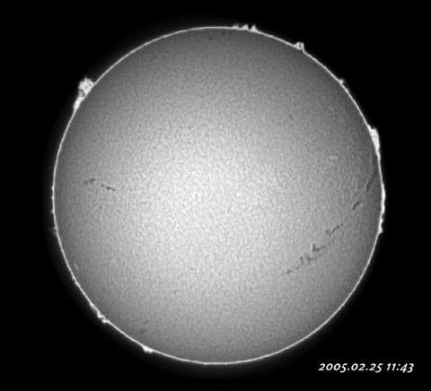 ��������ǯ������������� 2005/02/25-3