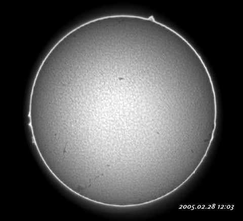 ��������ǯ������������� 2005/02/28-1