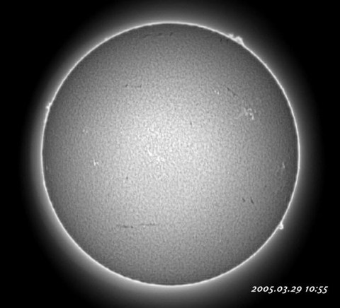 ��������ǯ������������� 2005/03/29-2