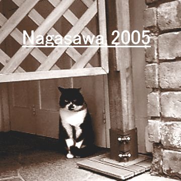Nagasawa 2005