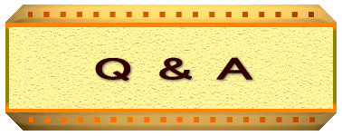 Q&A 